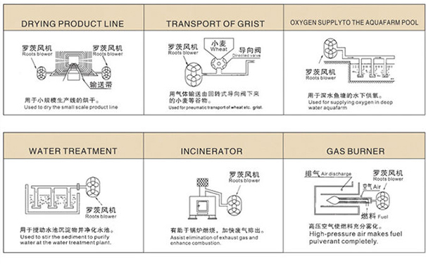 罗茨鼓麻豆AV免费看在中央供料系统中重要吗？